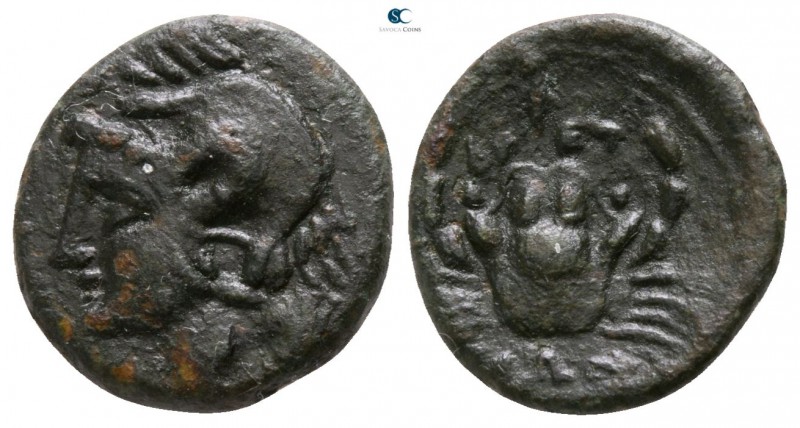 Bruttium. The Brettii circa 214-211 BC. 
Bronze Æ

12mm., 1,53g.

Head of A...