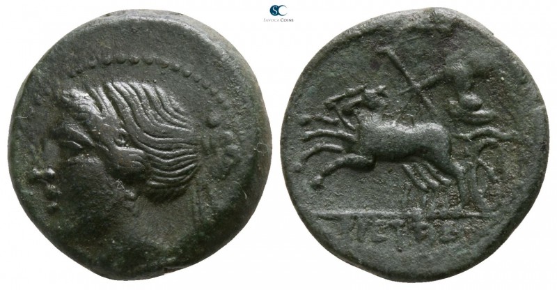 Bruttium. The Brettii circa 211-208 BC. 
Reduced Semuncia Æ

14mm., 3,42g.
...