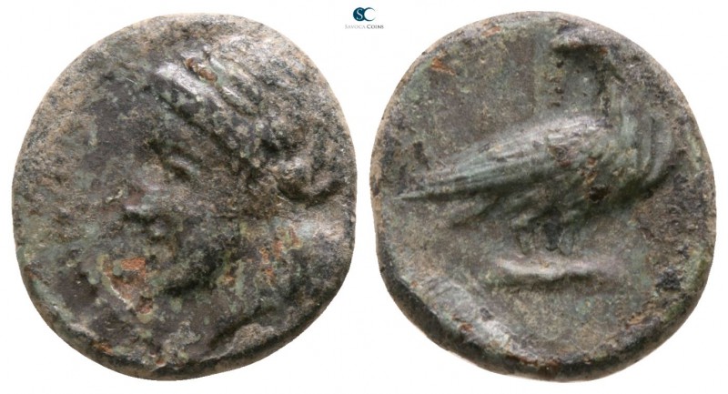 Sicily. Akragas circa 287-279 BC. 
Bronze Æ

13mm., 2,25g.

Laureate head o...