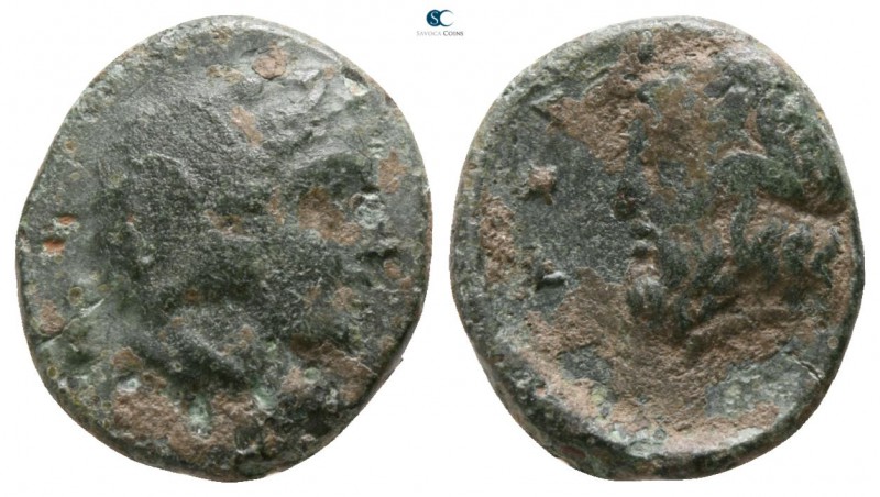 Sicily. Gela 339-310 BC. 
Bronze Æ

12mm., 1,73g.

Head of Herakles right, ...
