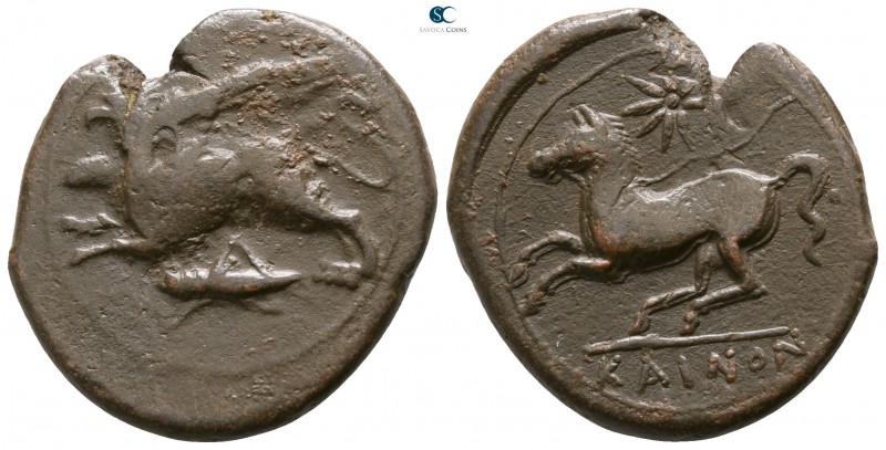 Sicily. "Kainon" circa 365 BC. 
Bronze Æ

23mm., 7,79g.

Griffin springing ...