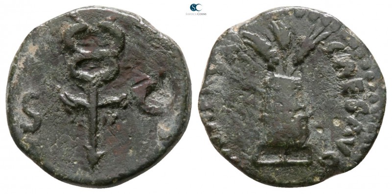 Nerva AD 96-98. Rome
Quadrans Æ

13mm., 2,29g.

Winged caduceus, S C across...