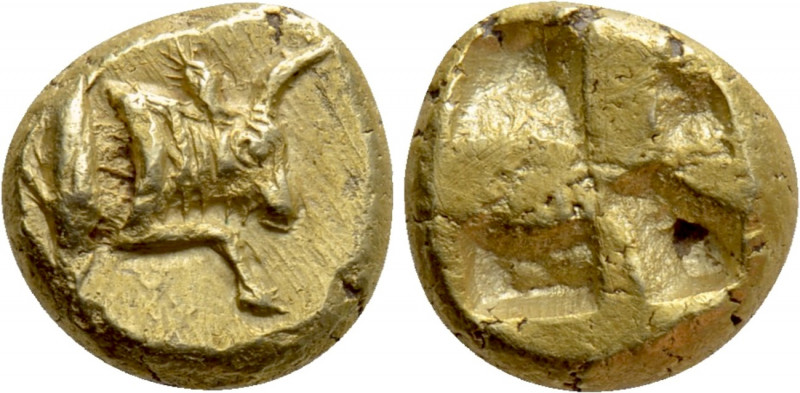UNCERTAIN GREEK MINT. Possibly Phokaia or Kyzikos. EL Hekte (550-480 BC).

Obv...