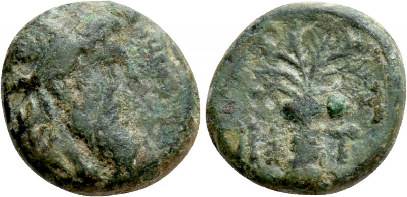 UNCERTAIN GREEK MINT. Ae (Circa 3rd-2nd century BC). 

Obv: Bearded head right...