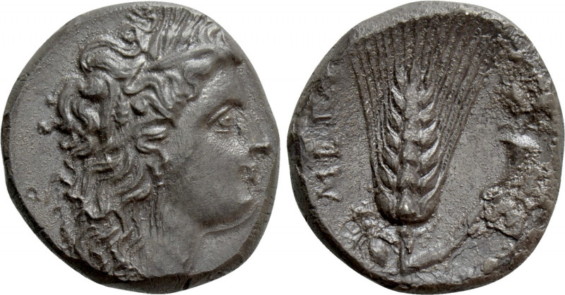 LUCANIA. Metapontion. Nomos (Circa 290-280 BC). 

Obv: Head of Persephone righ...
