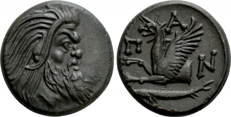 CIMMERIAN BOSPOROS. Pantikapaion. Ae (Circa 310-304/3 BC). 

Obv: Bearded head...