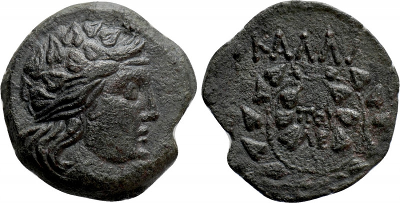 MOESIA. Kallatis (3rd-2nd century BC). Ae. Poyle-, magistrate. 

Obv: Wreathed...