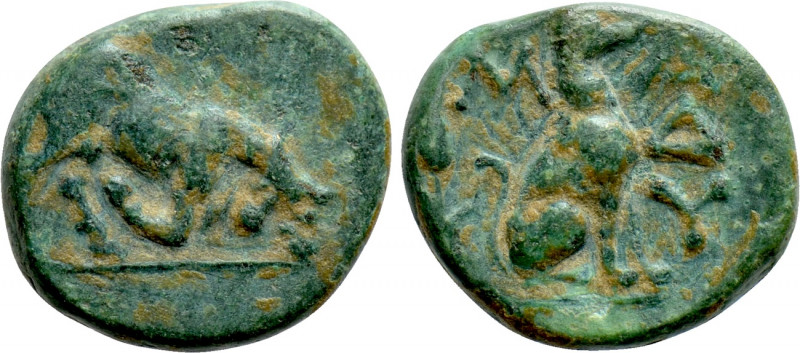THRACE. Madytos. Ae Chalkous (Circa 350 BC). 

Obv: Bull butting right.
Rev: ...