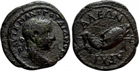 THRACE. Anchialus. Gordian III (238-244). Ae