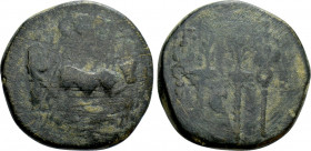 PISIDIA. Antioch. Augustus (27 BC-14 AD). Ae