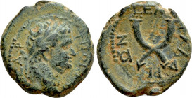 DECAPOLIS. Gadara. Titus (Caesar, 69-79). Ae. Dated CY 135 (71/2)