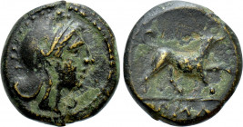 ANONYMOUS. Half litra (Circa 234-231 BC). Rome