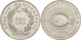 Turchia - Repubblica (dal 1923) - 500 lira 1984 "Conferenza FAO sulla pesca" - KM# 968 - Cu/Ni
FDC



SPEDIZIONE IN TUTTO IL MONDO - WORLDWIDE SH...