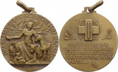 Italia - Periodo del Ventennio - Medaglia portativa "Ente Nazionale Protezione Animali" - 12,56 gr; 32,3 mm - Ae
mSPL



SPEDIZIONE SOLO IN ITALI...