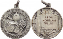 Italia - Medaglia portativa della Federazione delle Casse di Risparmo dell'Emilia - 8,3 gr; 26,09 mm - Ag 800
SPL



SPEDIZIONE SOLO IN ITALIA - ...