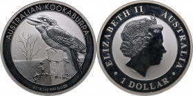 Australia 1 dollar 2016 P - Australian Kookaburra
31.37g. BU
