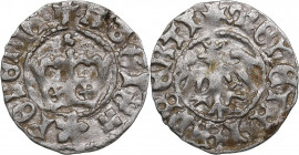 Poland Półgrosz ND - Kazimierz IV Jagiellończyk (1479-1491)
0.83g. XF/XF