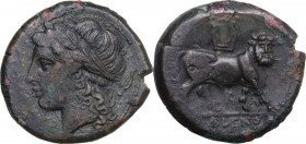 Greek Italy. Samnium, Southern Latium and Northern Campania, Cales. AE 22 mm, c. 265-240 BC. Obv. Laureate head of Apollo left; spearhead behind. Rev....