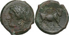 Greek Italy. Samnium, Southern Latium and Northern Campania, Cales. AE 21.5 mm, c. 265-240 BC. Obv. CALENO. Laureate head of Apollo left; [behind, unc...