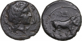 Greek Italy. Central and Southern Campania, Neapolis. AE 18.5 mm, c. 300-275 BC. Obv. Laureate head of Apollo right; four dolphins around. Rev. Man-he...