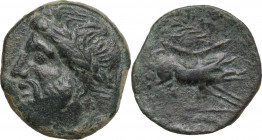 Greek Italy. Northern Apulia, Salapia. AE 21.5 mm, c. 225-210 BC. Obv. ΣΑΛΑΠΙΝΩΝ. Laureate head of Zeus left. Rev. Boar charging right; above, palm br...