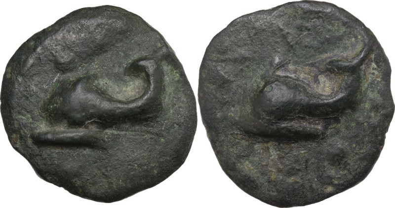Greek Italy. Northern Apulia, Venusia. AE Cast Biunx, c. 215 BC. Obv. Dolphin le...