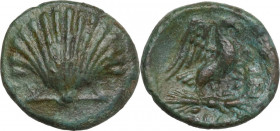 Greek Italy. Southern Apulia, Graxa. AE 15 mm, c. 250-225 BC. Obv. Cockle shell. Rev. Eagle right, wings open, on thunderbolt; star to right; in exerg...