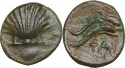 Greek Italy. Southern Apulia, Tarentum. AE 11.5 mm, c. 275-200 BC. Obv. Cockle shell. Rev. Two dolphins right; below, TA. HN Italy 1088; Vlasto 1842/6...