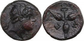 Greek Italy. Southern Lucania, Metapontum. AE 13.5 mm, c. 300-250 BC. Obv. Head of Hermes right, wearing winged diadem. Rev. Three barley-grains radia...
