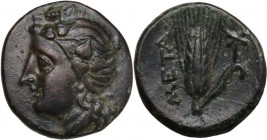 Greek Italy. Southern Lucania, Metapontum. AE 16 mm. Early-to mid-3rd century century BC. Obv. Head of Dionysos left, wearing ivy wreath. Rev. META. B...