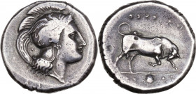 Greek Italy. Southern Lucania, Thurium. AR Distater, c. 350-300 BC. Obv. Head of Athena right, wearing crested helmet decorated with griffin. Rev. ΘOV...