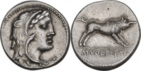 M. Volteius M.f. AR Denarius, 78 BC. Obv. Head of Hercules right, wearing lion's skin. Rev. Erymanthian boar right; in exergue, M. VOLTEI M.F. Cr. 385...