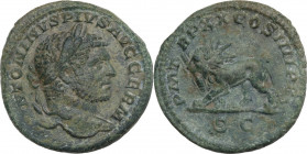 Caracalla (198-217). AE As, Rome mint, 217 AD. Obv. ANTONINVS PIVS AVG GERM. Laureate head of Caracalla right. Rev. P M TR P XX COS IIII P P SC. Radia...