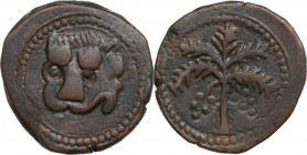 Messina. Guglielmo II (1166-1189). Trifollaro, 1180-1185. D/ Testa stilizzata di leone. R/ Palma da datteri. Sp. 117; Travaini 1995 370; D'Andrea-Cont...