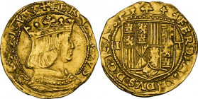 Napoli. Ferdinando il Cattolico (1504-1516). Ducato. D/ Busto coronato del re volto a destra. R/ Stemma inquartato e coronato con i simboli di Leon, C...