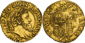 Napoli. Carlo V d'Asburgo (1516-1556). Ducato. D/ Testa laureata con folta barba volta a destra; dietro la sigla IBR (Giovan Battista Ravaschieri maes...