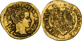 Napoli. Filippo IV di Spagna (1621-1665). Scudo d'oro recante data parziale 1°°°. D/ Testa giovanile imberbe volta a destra; dietro le sigle M/C/C (Mi...