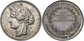Slg. Joos - Medaillen, Plaketten, Abzeichen der Luftfahrt 1783-1945
 Silbermedaille o.J. (Oudiné) Preismedaille des Kriegsministeriums. Cérès-Kopf na...