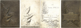 Slg. Joos - Medaillen, Plaketten, Abzeichen der Luftfahrt 1783-1945
 Versilberte Bronzeplakette 1924 (E. Blin) Aero Club de France. Zwei Adler sitzen...