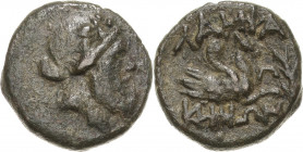 Mysia Lampsakos
 Bronze 4./3. Jhd. v. Chr. Kopf des Priapos nach rechts / Pegasosprotome nach rechts. Mit alter Sammlungsbeschreibung SNG France 1245...