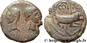 AUGUSTUS and AGRIPPA
Type : Dupondius 
Date : c. 9/8-3 AC. 
Mint name / Town : Nîmes, Gaule 
Metal : copper 
Diameter : 25,5  mm
Orientation dies : 11...