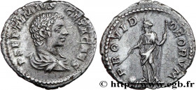 GETA
Type : Denier 
Date : 206 
Mint name / Town : Rome 
Metal : silver 
Millesimal fineness : 550  ‰
Diameter : 19  mm
Orientation dies : 6  h.
Weigh...