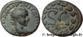 ELAGABALUS
Type : Dupondius 
Date : 218-219 
Mint name / Town : Antioche, Syrie, Séleucie et Piérie 
Metal : copper 
Diameter : 18  mm
Orientation die...