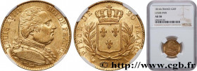 LOUIS XVIII
Type : 20 francs or Louis XVIII, buste habillé 
Date : 1814 
Mint name / Town : Paris 
Quantity minted : 2681623 
Metal : gold 
Millesimal...