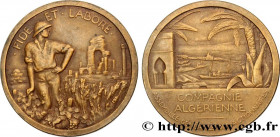 ALGERIA - FOURTH REPUBLIC
Type : Médaille, Compagnie algérienne, Assemblée générale des actionnaires 
Date : n.d. 
Mint name / Town : Algérie, Alger 
...