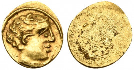 Etruria, Populonia, 10-asses, ca. 300-250 BC; AV (g 0,49; mm 18); Male head r.; before, X, Rv. Blank. EC I, s. 29 (O2).
Rare; extremely fine.