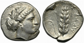Lucania, Metapontion, Stater, ca. 400-340 BC; AR (g 7,81; mm 22; h 2); Diademed head of Demeter r., wearing earring, Rv. Ear of barley with leaf to l....