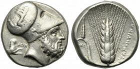 Lucania, Metapontion, Distater struck under Ape- magistrate, ca. 340-330 BC; AR (g 16,35; mm 22; h 12); Head of Leukippos r., wearing Corinthian helme...