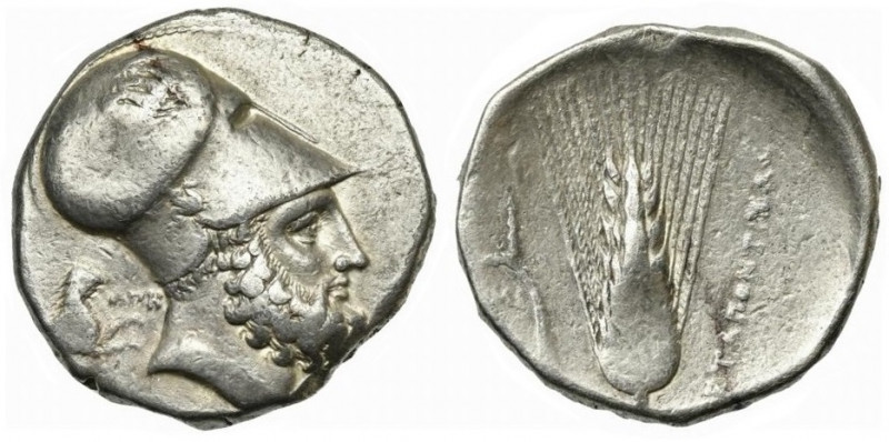 Lucania, Metapontion, Distater struck under Ape- magistrate, ca. 340-330 BC; AR ...