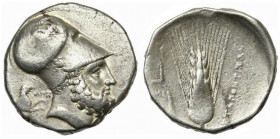 Lucania, Metapontion, Distater struck under Ape- magistrate, ca. 340-330 BC; AR (g 15,71; mm 26; h 8); Head of Leukippos r., wearing Corinthian helmet...